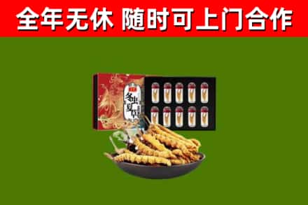 宁明县回收冬虫夏草价格